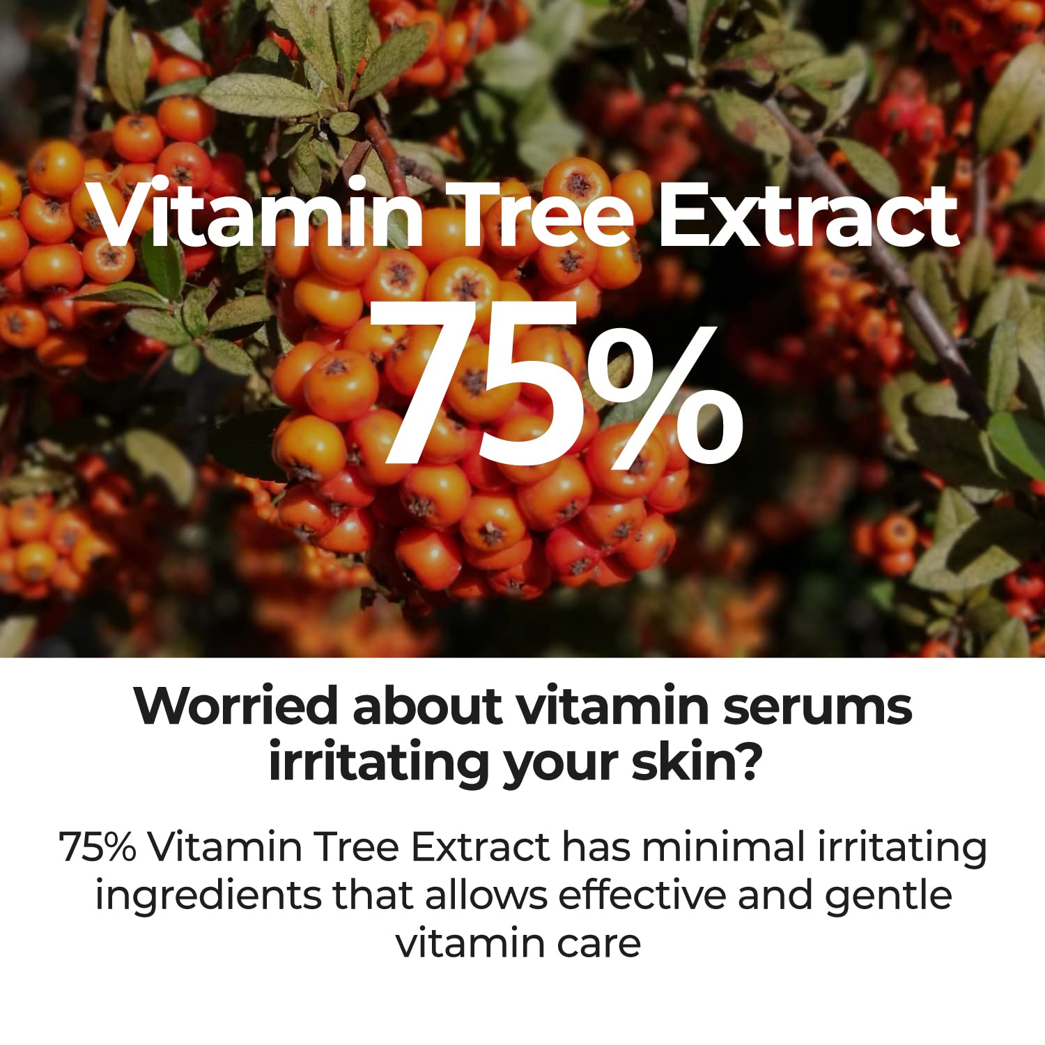 Numbuzin - No. 5 Goodbye Blemish Serum - 50ml